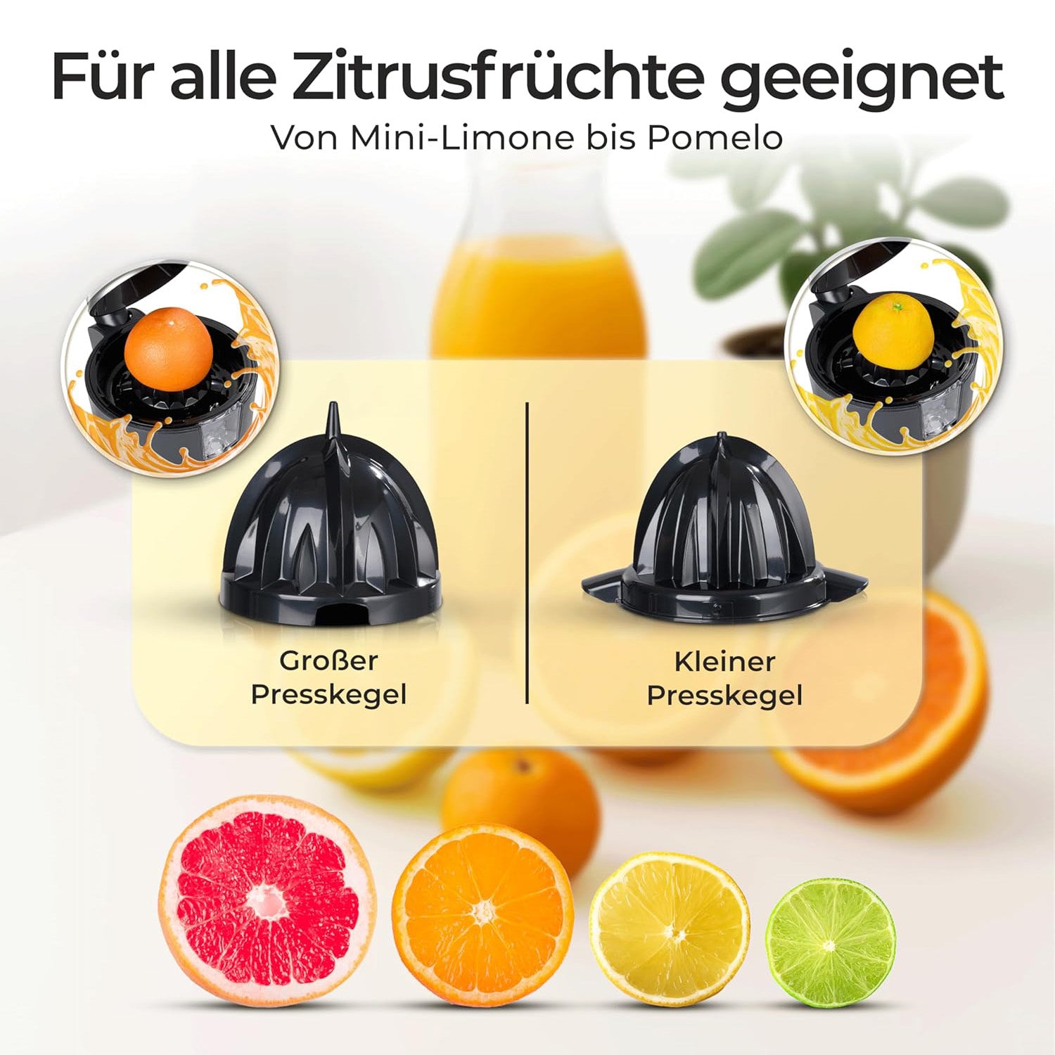 Zitruspresse mit großem und kleinem Presskegel für optimale Saftausbeute von Zitrusfrüchten.