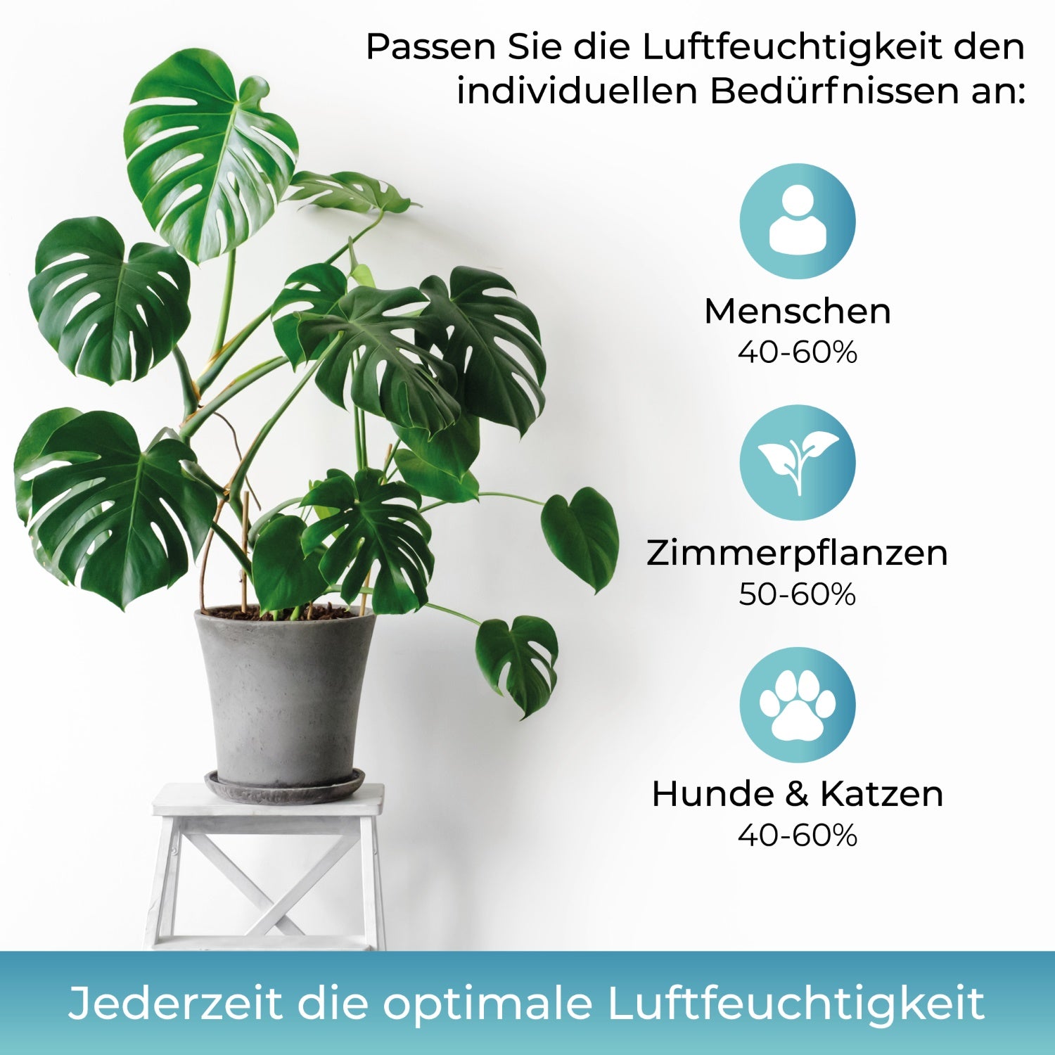 Luftbefeuchter