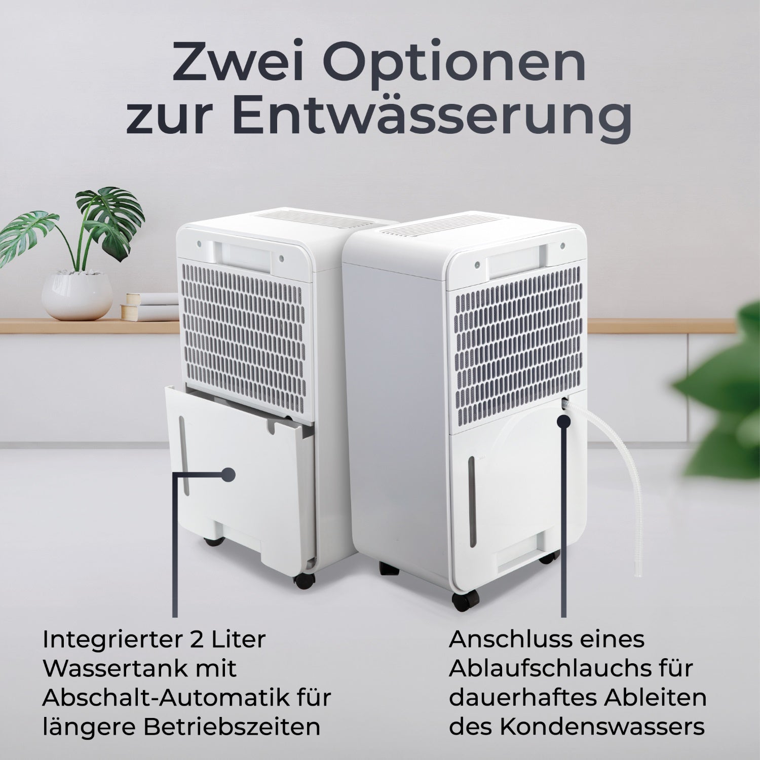 Luftentfeuchter 12L
