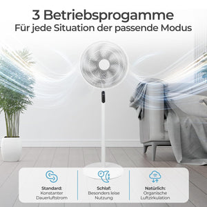Stand-Ventilator